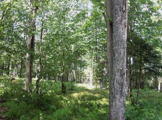 On Bambi Land Road, Mercer, WI 54547