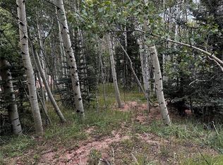 651 Will Stutley Dr, Divide, CO 80814