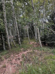 651 Will Stutley Dr, Divide, CO, 80814
