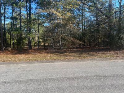00 Fairway Drive, New Ellenton, SC, 29809