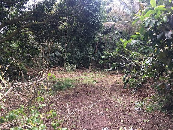 4th image of 17th Avenue Lokelani Lot 530