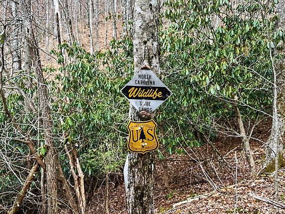 5th image of 11800 Murphy Rd