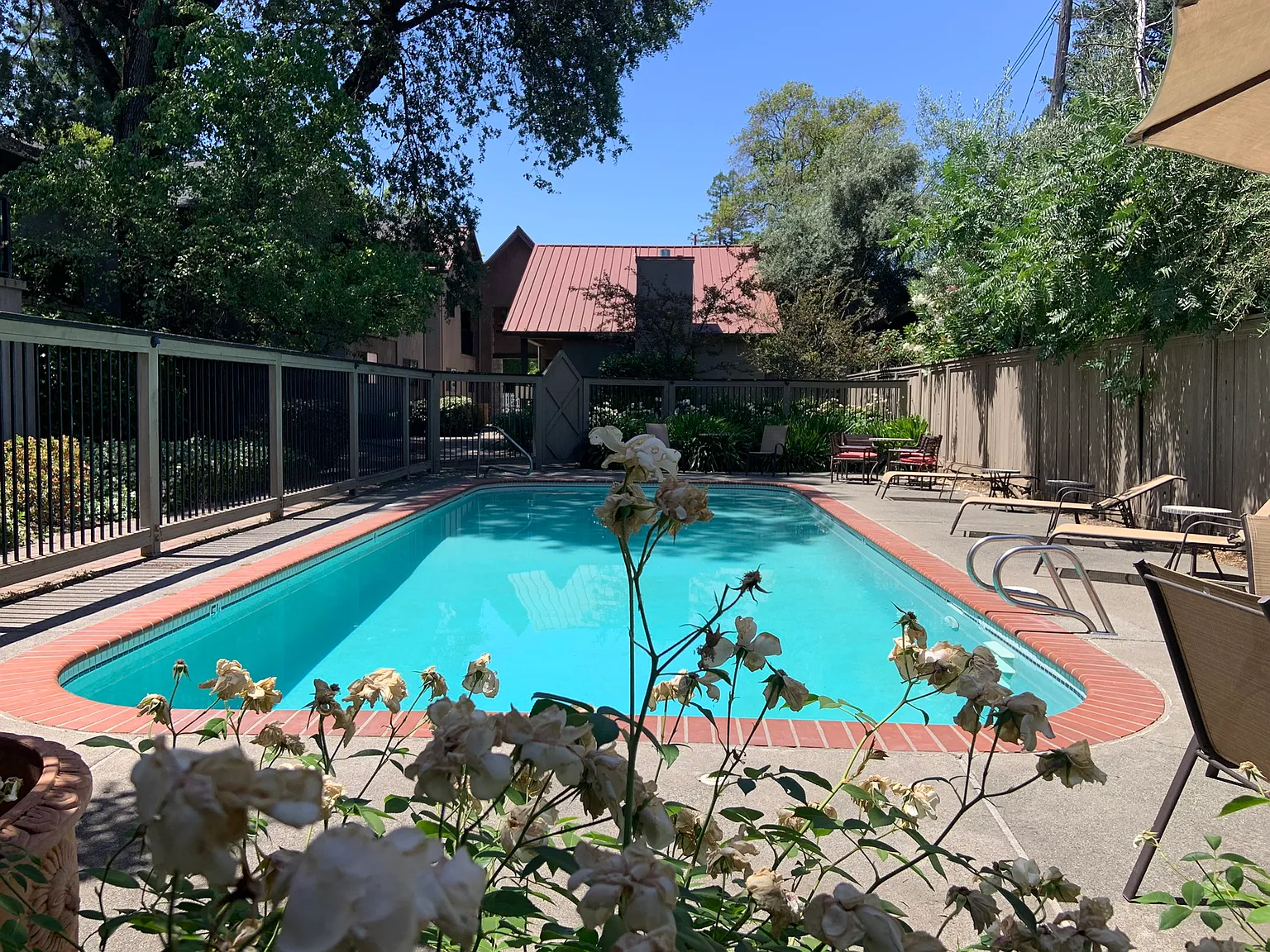 2 bed, 1100 sqft, $3,200 — Photo 3