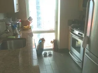 Rented by Citi Habitats