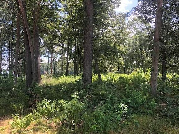 4th image of 858 County Road 2416