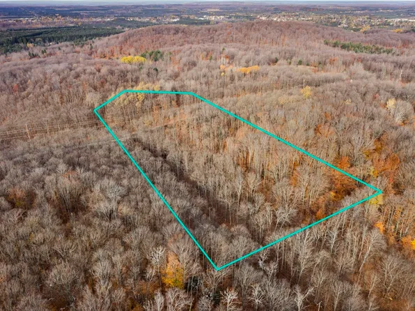 PARCEL 6 Miller Rd, Mancelona, MI 49659