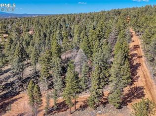 81 Garnet Way, Florissant, CO 80816