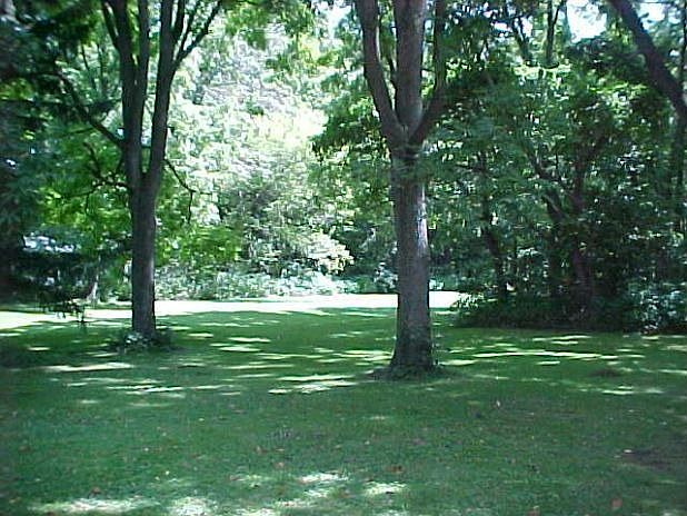 2nd image of 35 River St