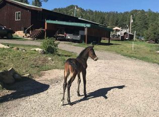 11078 Us Highway 84, Pagosa Springs, CO 81147