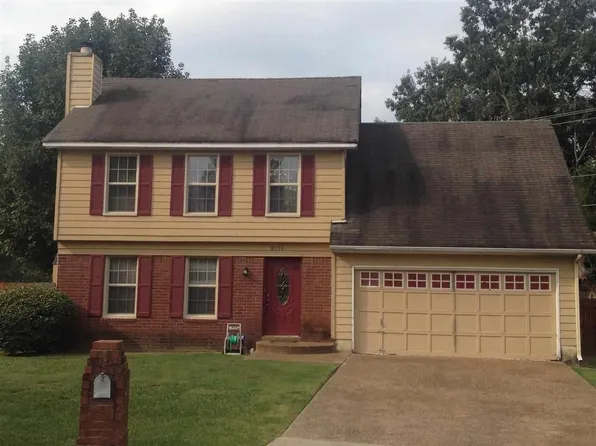 6514 Pine Cone Cv, Memphis, TN 38141