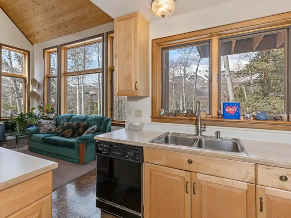 110 Timberline Ct, Telluride, CO 81435