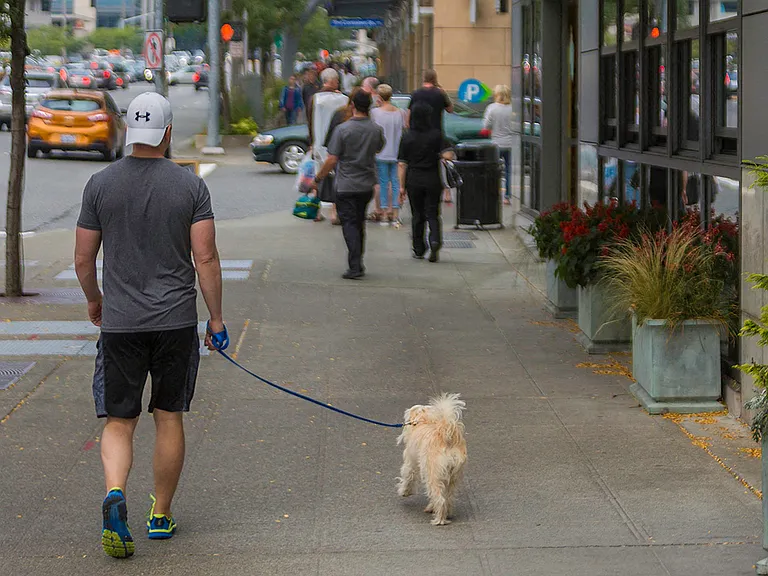 Lux Apartments are pet-friendly so be sure to bring your fur-babies and enjoy luxury living at Lux!