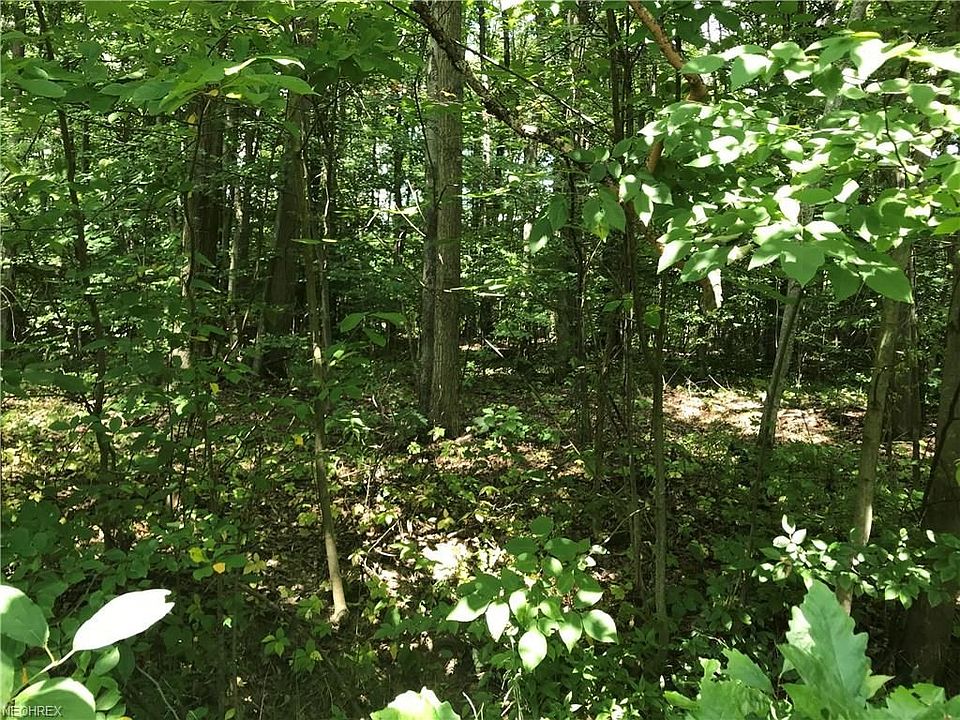 2nd image of S Park Ln