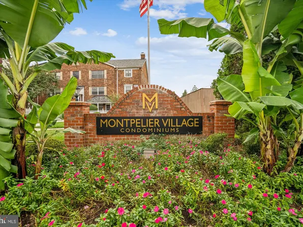 4421 Romlon St APT 1, Beltsville, MD 20705