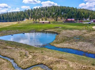 21752 Penny Ln, Nemo, SD 57759