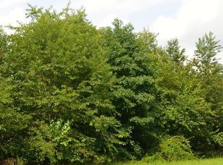 6241 Ralphs Rd, Laurel, DE 19956