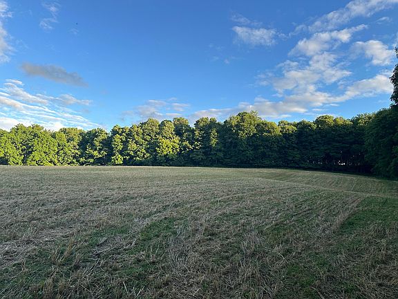 3rd image of 9133 Township Road 51