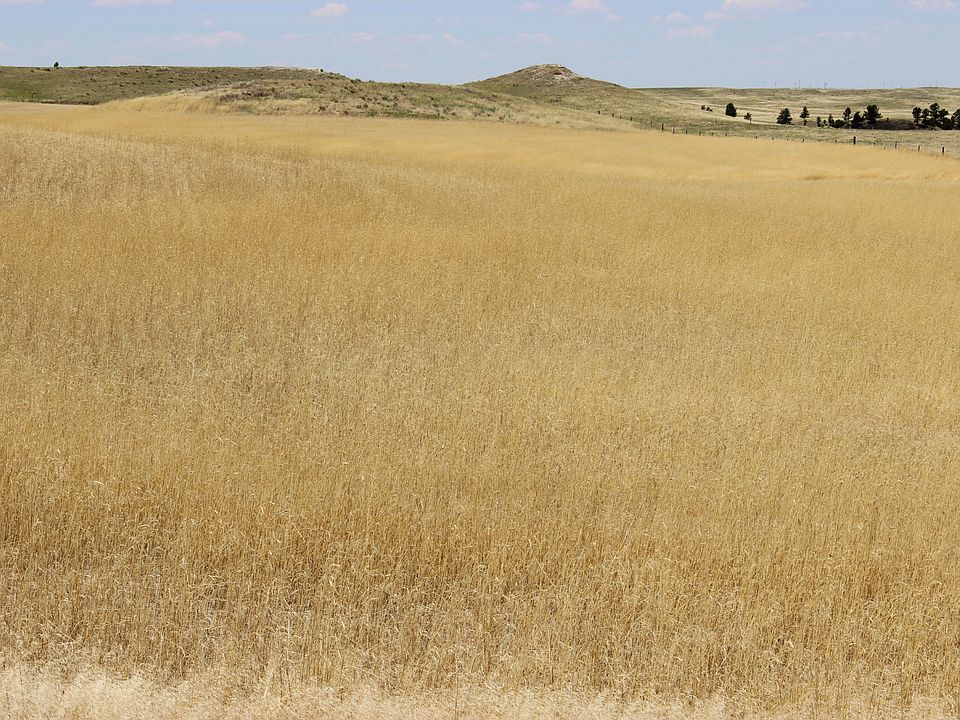 2nd image of Rr 16