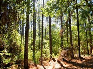 16000 Mason Ferry Rd, Citronelle, AL 36522