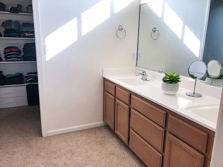 Master Bedroom, walk in closet