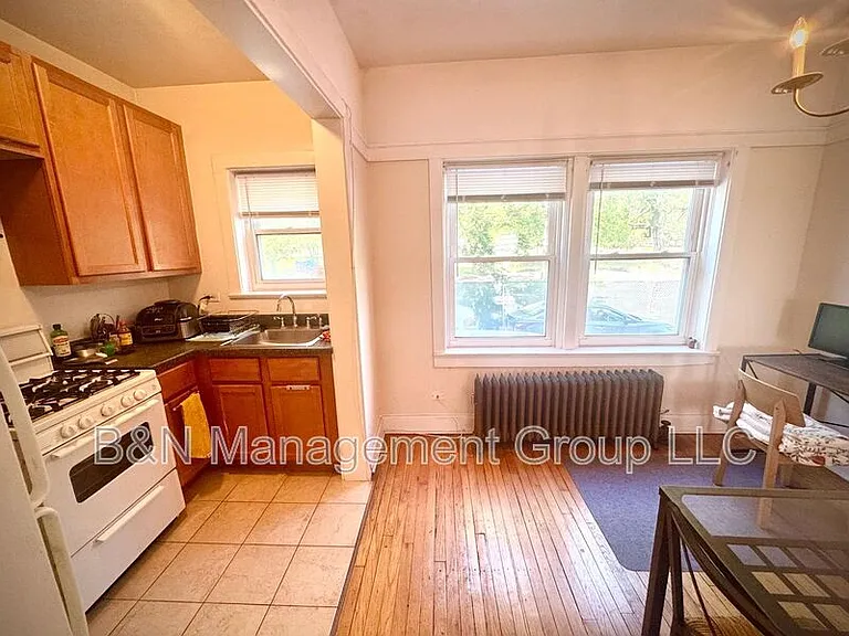 1063 W Dakin St #1 — Photo 8