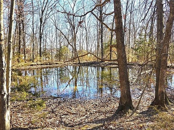 2nd image of 0 Phillips Rd