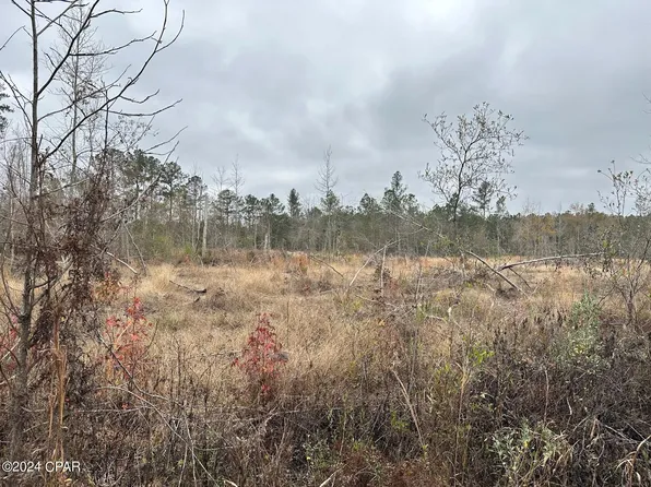 TRACT 6402 S Chance Rd, Chipley, FL 32428