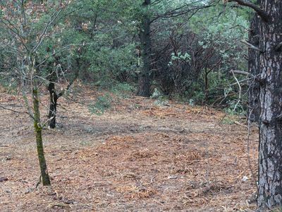 Siems Ave, Colfax, CA, 95713
