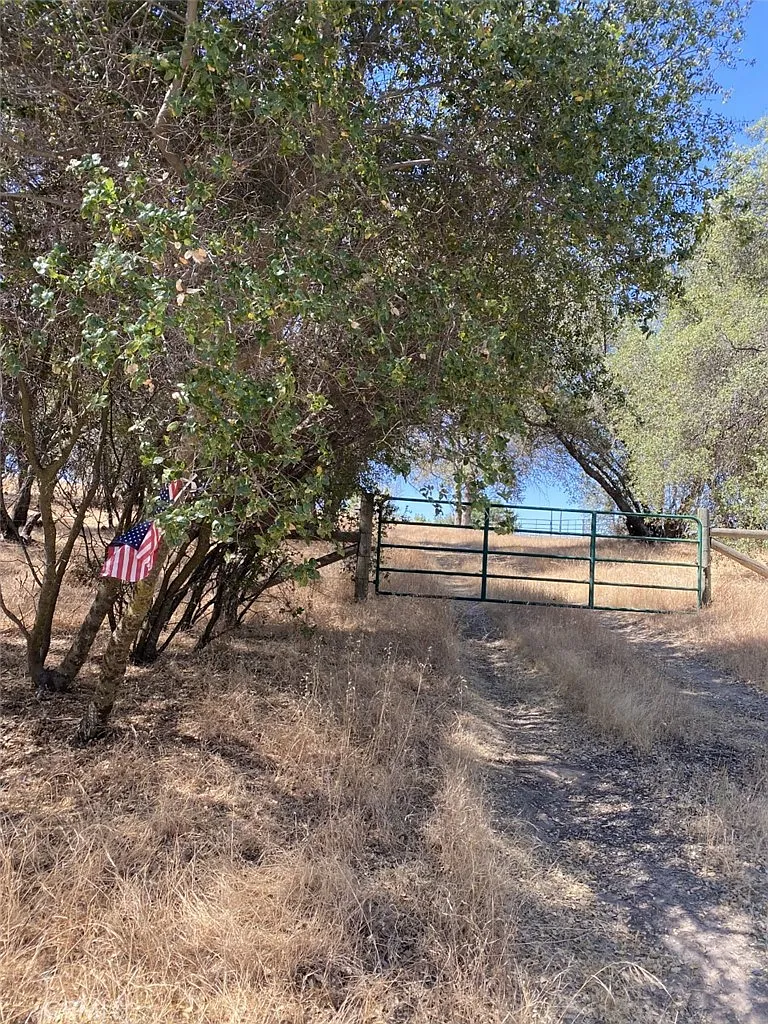 Oak Tree Ln photo 1