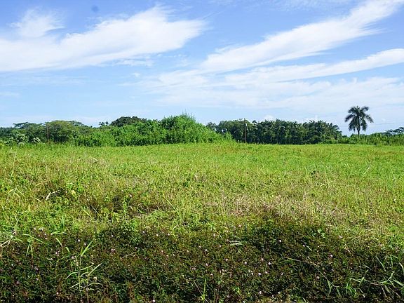 3rd image of Kupu Pl Lot 28