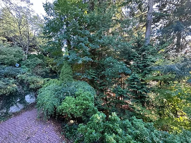 5614 Eagle Ct — Photo 12
