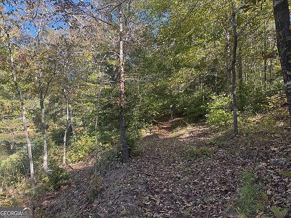 5th image of TRACT 9 Butler Rd