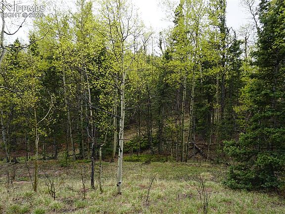 4th image of Vacant Land