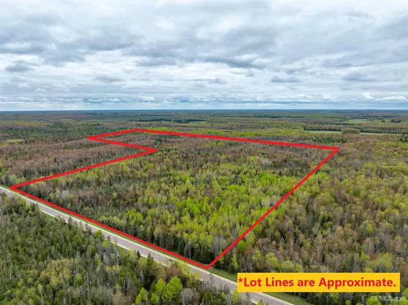 M67 High Way, Chatham, MI 49816