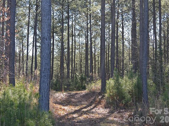 3rd image of 0 Peter Hawk Creek Rd #13