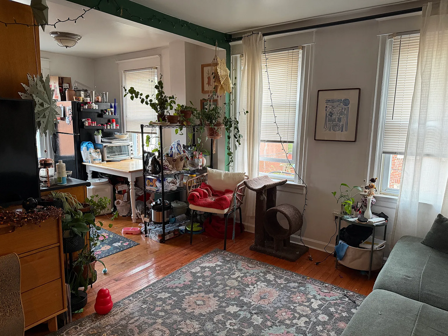2 bed, 800 sqft, $1,200 — Photo 2
