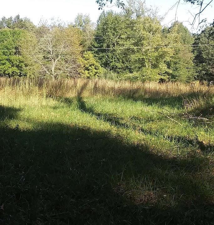 2nd image of 307 Ball Park Loop