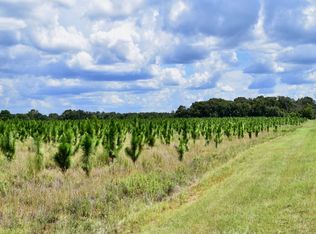 600 Thrasher Rd, Plains, GA 31780