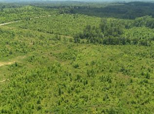 5 Tucker Rd, Bath Springs, TN 38311