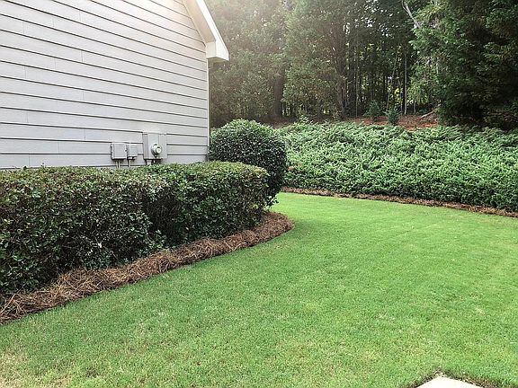 level yard side of the house