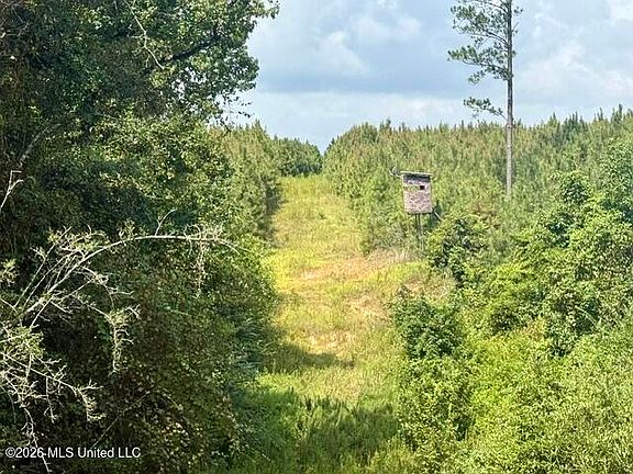 5th image of Ten Mile Creek Rd