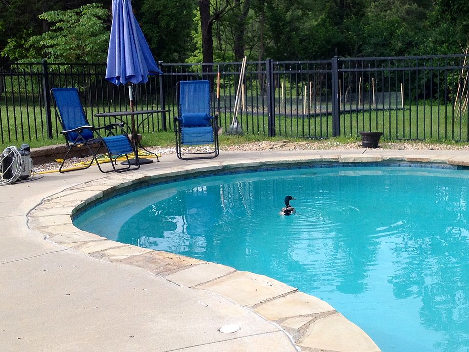 2nd image of 11625 Doverhill Dr