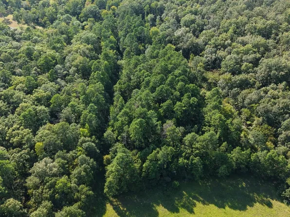 Waters Ln, Mena, AR 71953