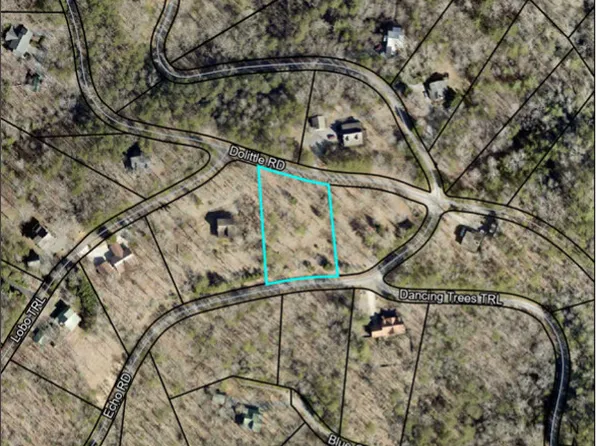 252 Dolittle Rd, Morganton, GA 30560