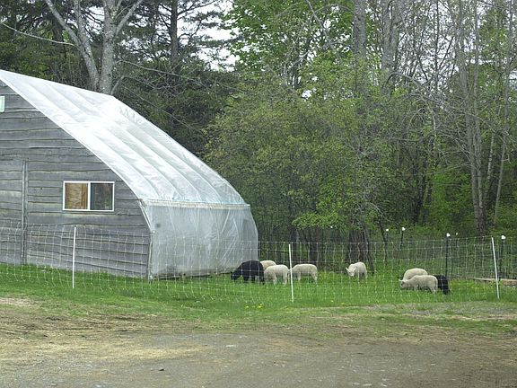several greenhouses make various farm projects easier no mat