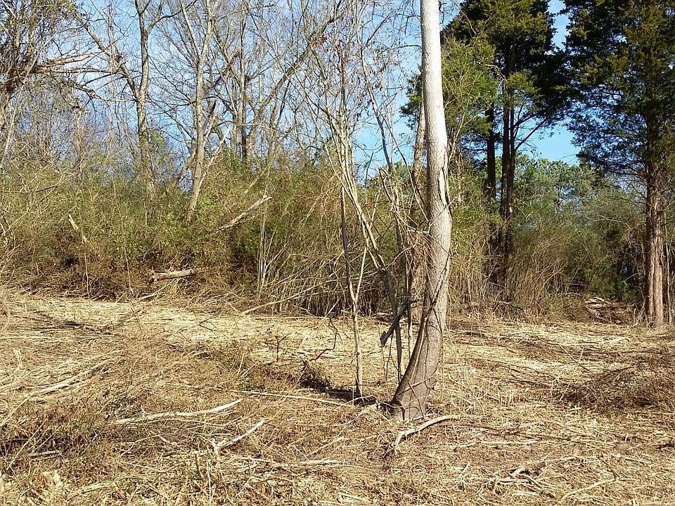 2nd image of 110 Tahlequah Ln