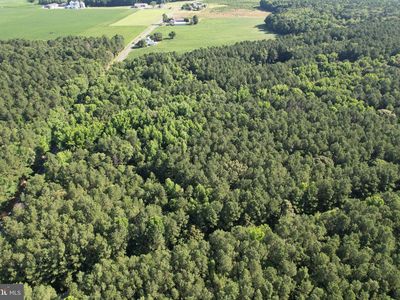 Hollyville Rd, Harbeson, DE, 19951