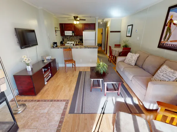 205B Snowcre St, Snowshoe, WV 26209