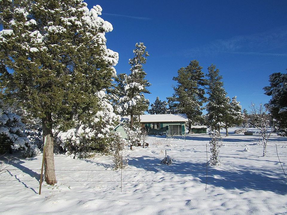 Winter wonderland