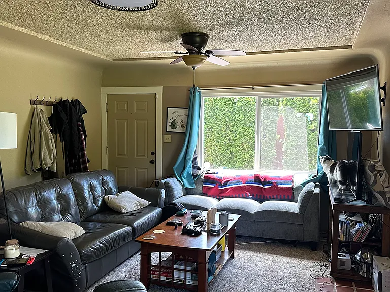 1401 Lakeway Dr #A — Photo 11